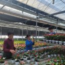 동현농장 이미지