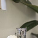커피짓(coffee jit)