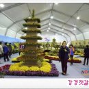 강경왕젓갈