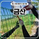 H1800 | 금산휀스 펜스 - &#34;메쉬쌍문+외문, 금산휀스 현장에서 다 보여드립니다&#34;