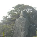 천장군 이미지