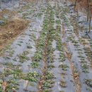 푸르메농장 이미지