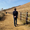 새별오름 이미지