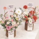 무무플라워 이미지