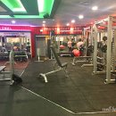 본 MSD파라마운트 휘트니스 네이버블로그