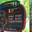청남대 무장애나눔길조성 네이버블로그