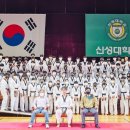 용인대 신성 태권도장 이미지