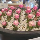 오리랑추어랑 이미지