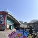 K당구 | 제주 메이즈랜드 16개월 33개월 아기랑 방문 후기