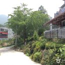 전북식당 이미지