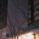 문정주유소 이미지