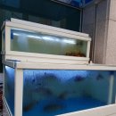 통큰어촌후계자 이미지