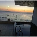 푸른바다펜션 | 애견동반풀빌라 반려견과 함께한 푸른 바다 펜션 여행 후기