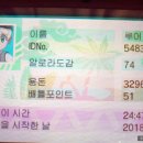 썬트레이너 이미지