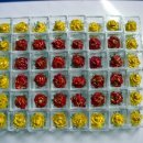 풍물마켓 이미지