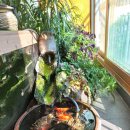 수리산현대홈타운2단지아파트 이미지