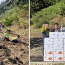 산동면행정복지센터 이미지