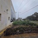 자연면옥 이미지