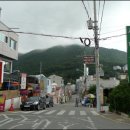 명품꽃마을 이미지