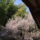 매화도서관 이미지