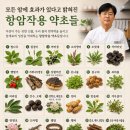 천마지하수