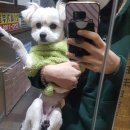 이윤세동물병원 이미지