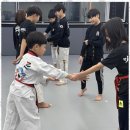 미르태권도장 이미지