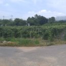 속시원한길 행정사 사무소 이미지