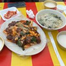 한국전력 장수지사 | 부천 도당산 벚꽃축제 다녀온 후기 + 실시간 개화현황