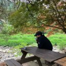 조은별계곡쉼터 | 가평 조은별 계곡 쉼터 캠핑장, 캠린이 첫 캠핑입문, 계곡 근처 캠핑장 추천, 전기 있음