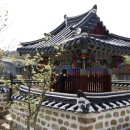 옥과청과