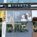 한빛동물병원 이미지