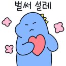 김정완 챔피언 GYM 이미지