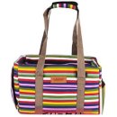 아지랑양이 이미지