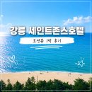강릉 세인트존스호텔 오션뷰 1박 후기｜일출부터 반려견 운동장까지
