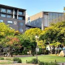 숭실대학교 이미지