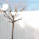 스테이 가정집 이미지