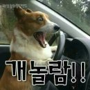 같이 Daum카페