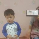 희락어린이집 Daum카페