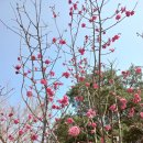 송도 달빛공원 이미지