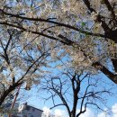 청구역(6) 화장실 이미지