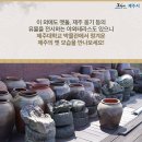 제주대학교 박물관 이미지