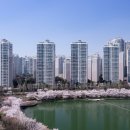 뉴희망공인중개사사무소 이미지