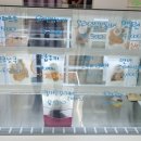 나나까까 이미지