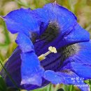 오늘의 아이 이미지