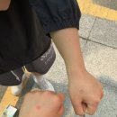 효림한의원 이미지