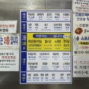 숲속애견랜드 | 신촌 • 찜질방 숲속한방랜드, 주말 방문 후기