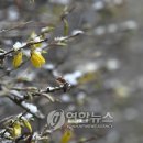 남촌도림동-17 이미지