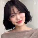 예솜헤어 - 부천시 원미구 조종로36번길 23 | 예솜헤어 범계점 내돈내산 후기. 예솜헤어 단발후기, 예솜헤어 모즈펌, 예솜헤어 모즈펌 후기, 정성희...