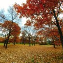 사촌마을자료관 이미지